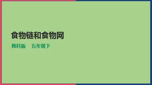 五年级下册科学--1.6《食物链和食物网》课件(32张PPT)