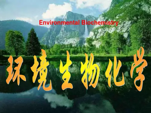 《环境生物化学》PPT课件