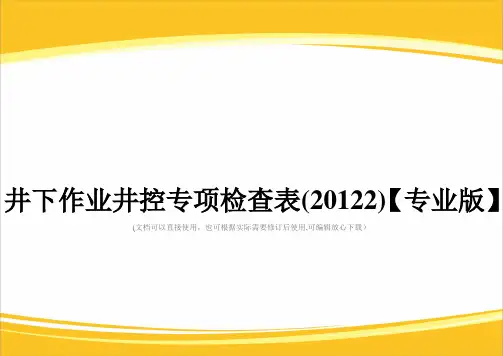 井下作业井控专项检查表(20122)【专业版】