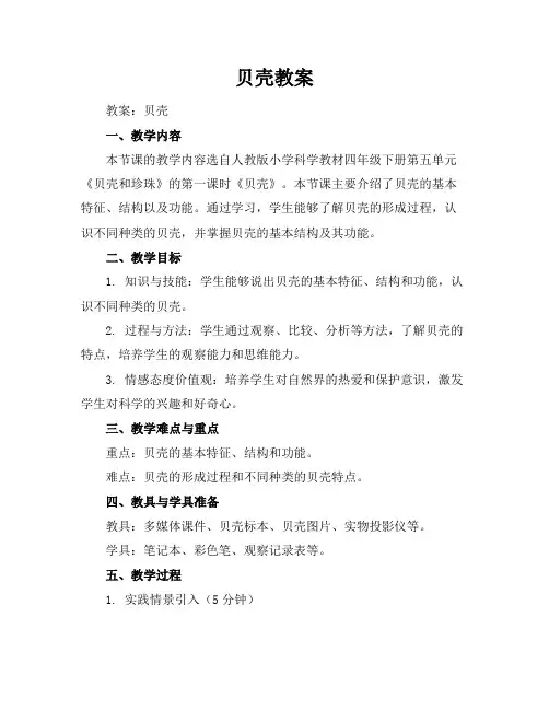 贝壳-教案