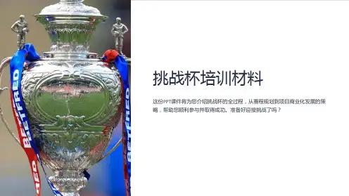 《挑战杯培训材料》课件