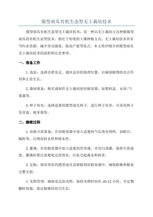 微型南瓜有机生态型无土栽培技术