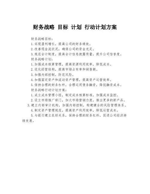 财务战略 目标 计划 行动计划方案