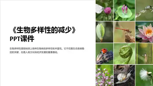《生物多样性的减少》课件