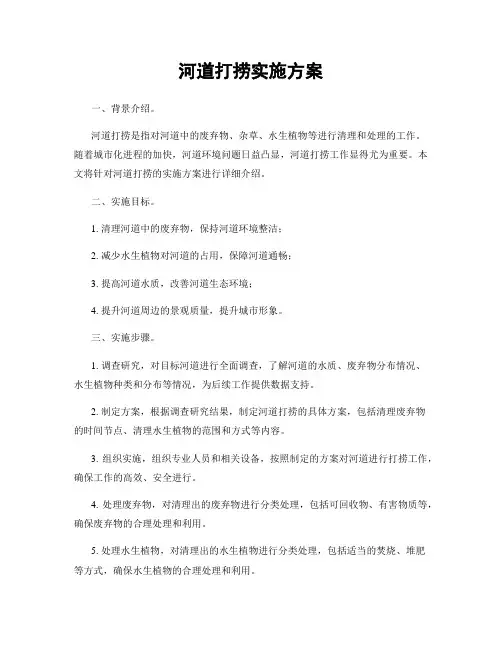 河道打捞实施方案