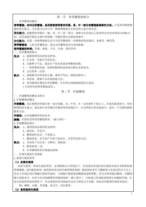 扦插繁殖