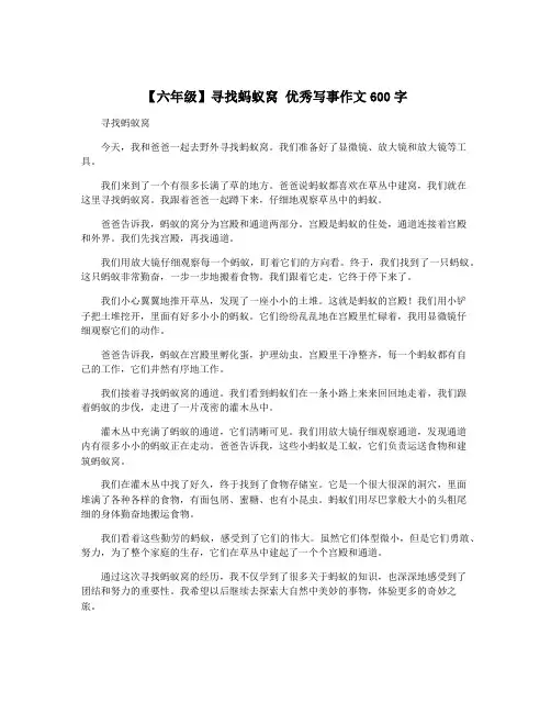 【六年级】寻找蚂蚁窝 优秀写事作文600字