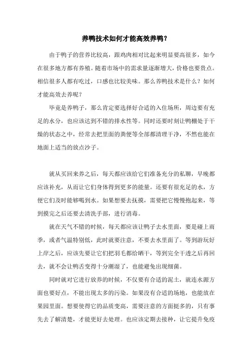 养鸭技术 如何才能高效养鸭？