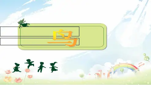 人教版初中八年级生物上册第六课鸟ppt课件