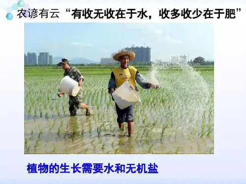 北师大版生物七年级上册3.5.3《吸收作用》课件(共21张PPT)