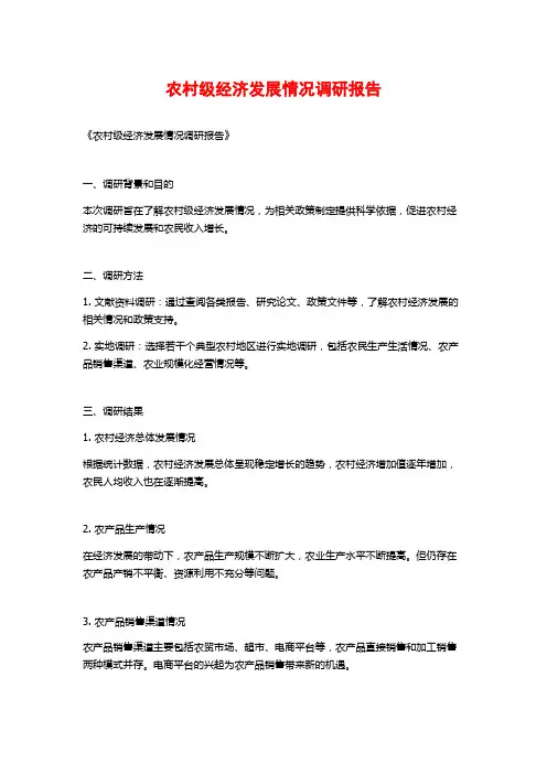 农村级经济发展情况调研报告