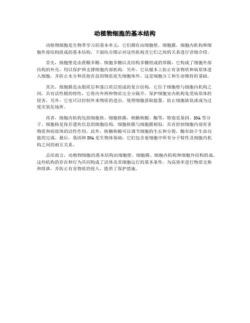 动植物细胞的基本结构