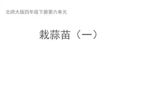 四年级下册数学课件-6.2《栽蒜苗一》-北师大版