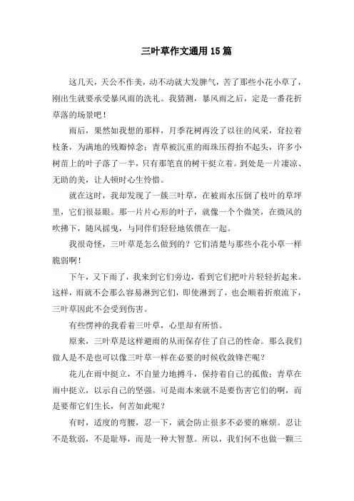 三叶草作文通用15篇精编