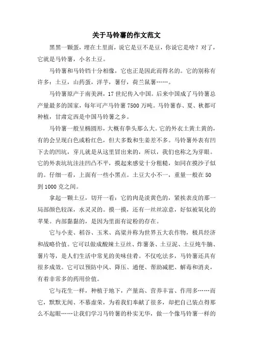 关于马铃薯的作文范文
