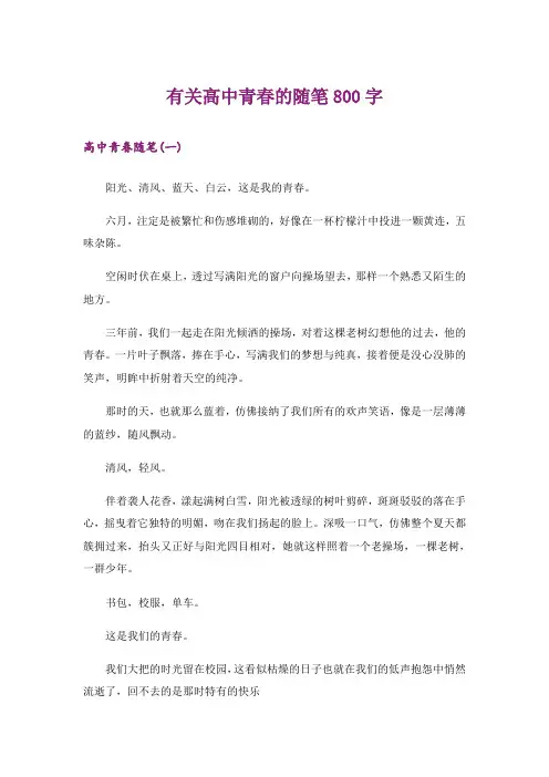 文学_有关高中青春的随笔800字