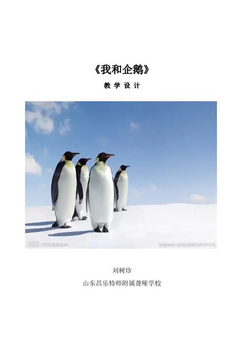 《我和企鹅》教案