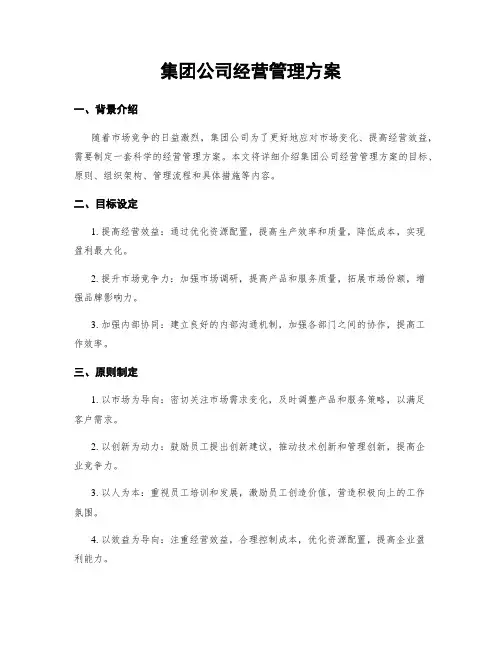 集团公司经营管理方案