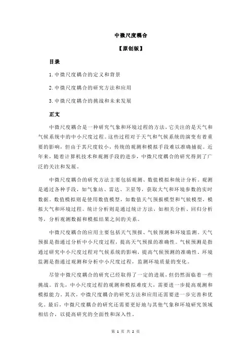 中微尺度耦合