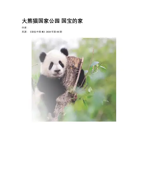 大熊猫国家公园 国宝的家