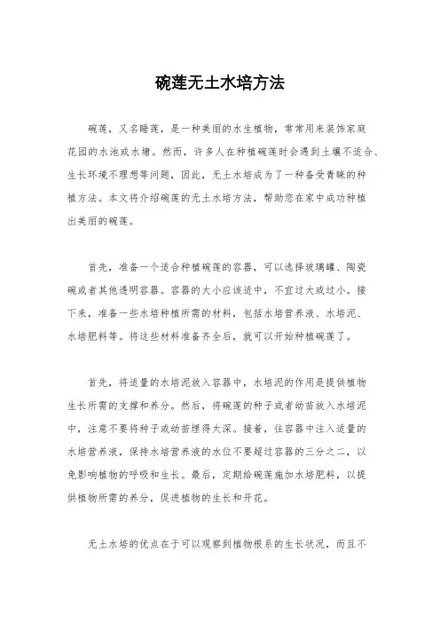 碗莲无土水培方法