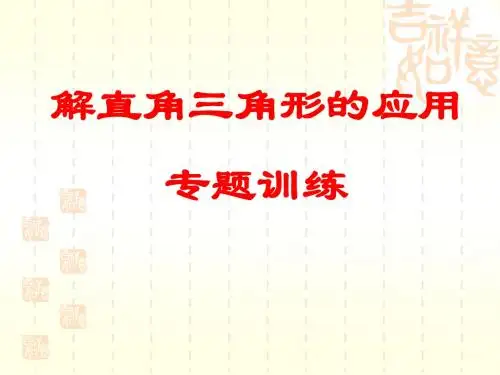 解直角三角形的应用(专题训练)