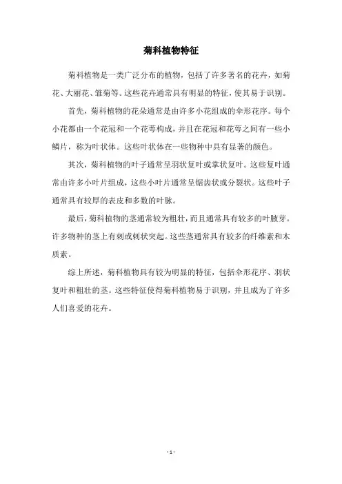 菊科植物特征