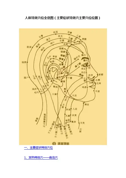 人体特效穴位全息图（主要症状特效穴主要穴位位置）