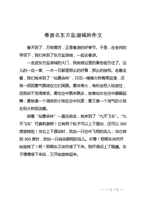 春游去东方盐湖城的作文