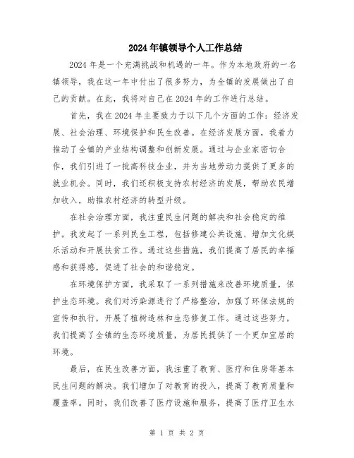2024年镇领导个人工作总结