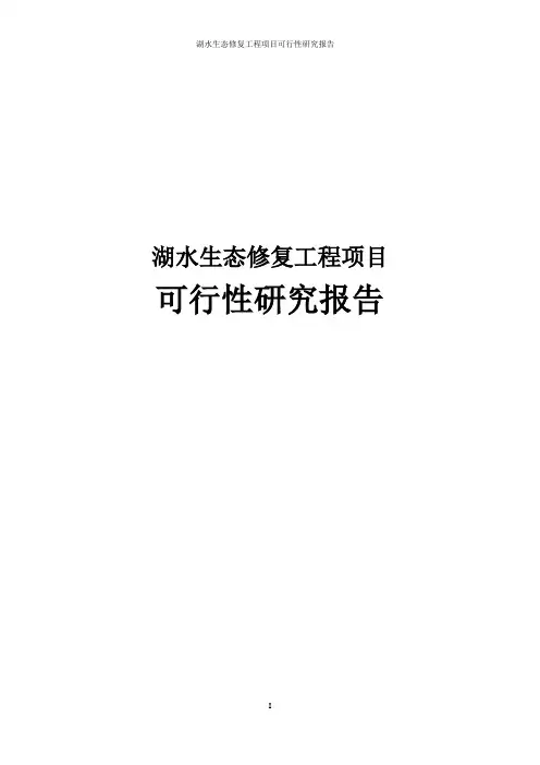 湖水生态修复工程项目可行性研究报告