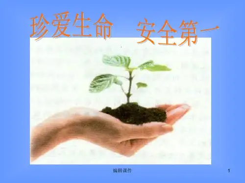 安全教育系列主题班会珍爱生命安全第一PPT课件
