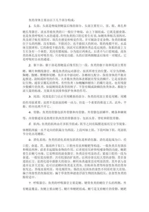 鱼的构成讲解