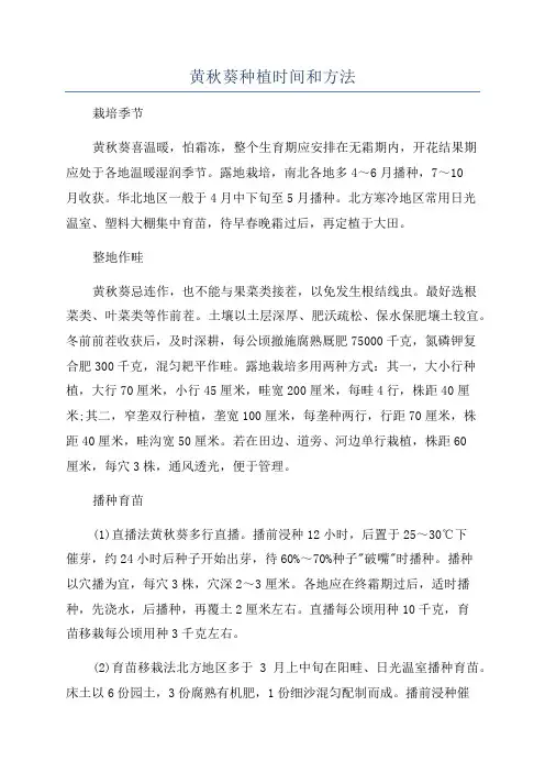 黄秋葵种植时间和方法