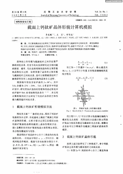 截面上钙钛矿晶体形貌计算机模拟