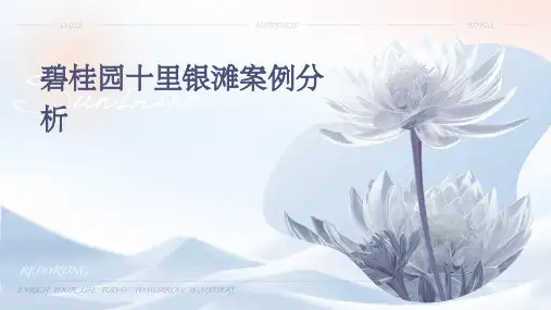 碧桂园十里银滩案例分析