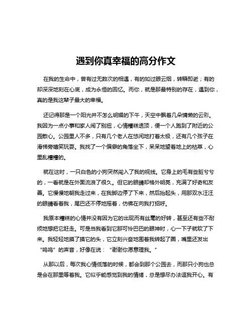 遇到你真幸福的高分作文