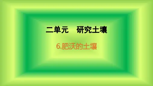 苏教版三年级上册科学课件第6课肥沃的土壤