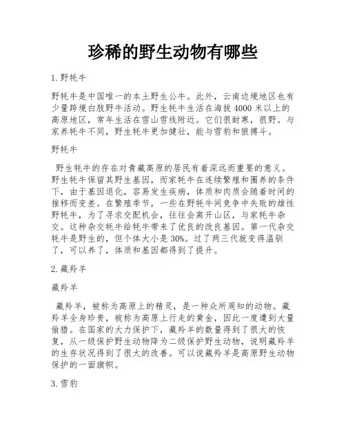 珍稀的野生动物有哪些