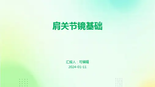 肩关节镜基础PPT