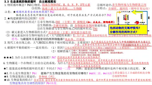 生态系统的物质循环、信息传递及稳定性-2024年高考生物一轮复习精讲课件(新教材新高考)