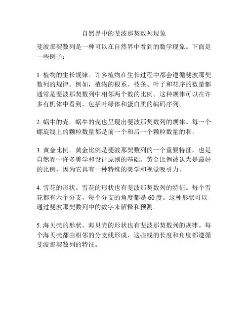 自然界中的斐波那契数列现象
