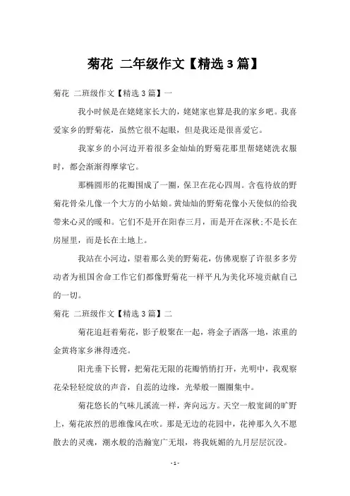 菊花 二年级作文【3篇】