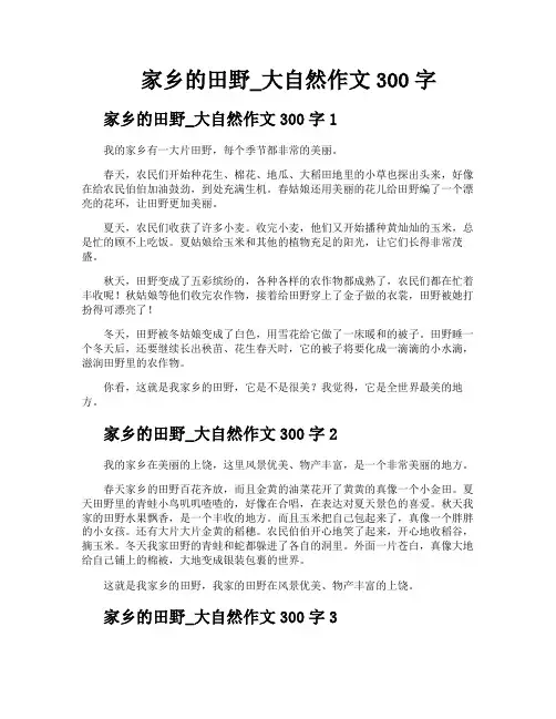 家乡的田野大自然作文300字