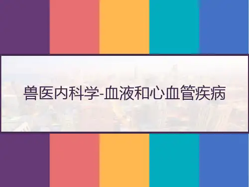 兽医内科学 血液和心血管疾病 PPT