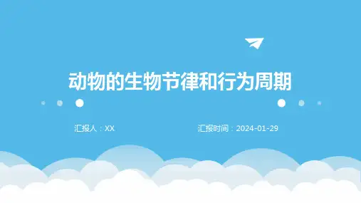 动物的生物节律和行为周期