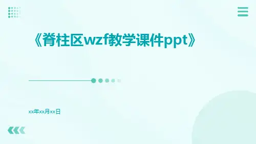 脊柱区wzf教学课件ppt
