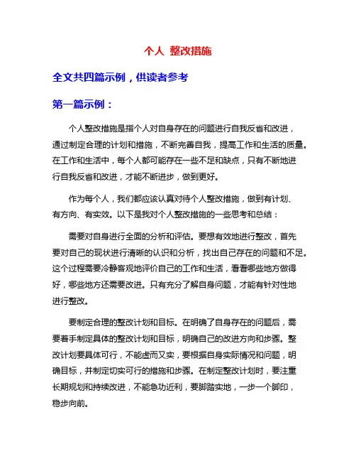 个人 整改措施