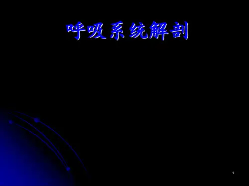 肺部解剖学 ppt课件