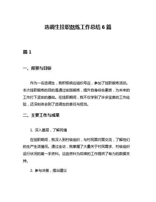 选调生挂职熬炼工作总结6篇